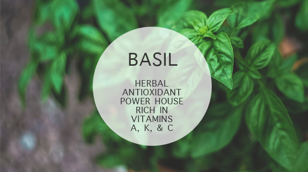 BASIL: Herbal antioxidant power house rich in vitamins a, k, and c