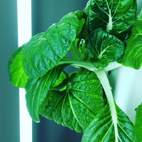 13EF2778-3043-46D6-82C4-F1DE853C22DC