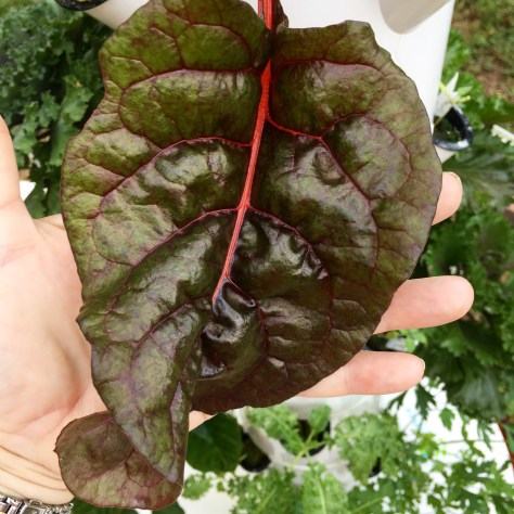 9703042C-3278-4791-A7D7-54400A7A9189