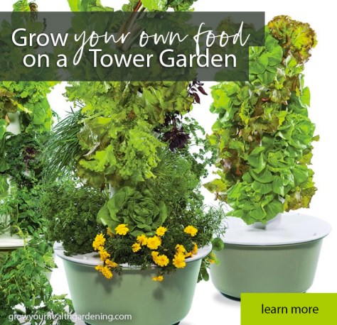 Grow your own food on a hydroponic Tower Garden