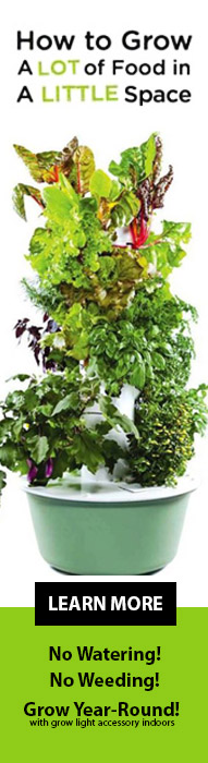 How to Grow a Lot of Food in a Little Space