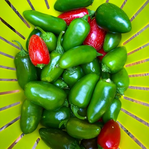 FCDE30FE-848D-4013-9BDC-01B468CF8690