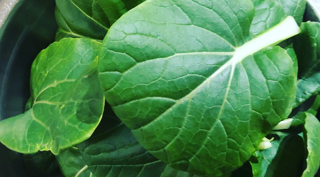 Bok Choy Coconut Chicken Soup