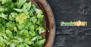 01-17-15-12-19-46_XQHZQFUH2BGGZPAEO4Q7O2