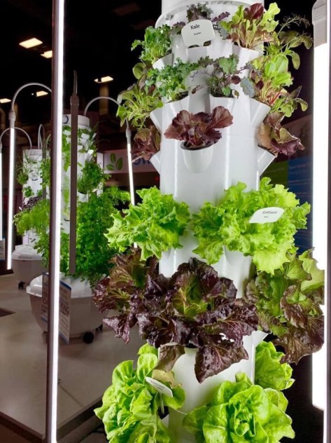 269BEEDE-BB79-483E-8946-0674760FAF49