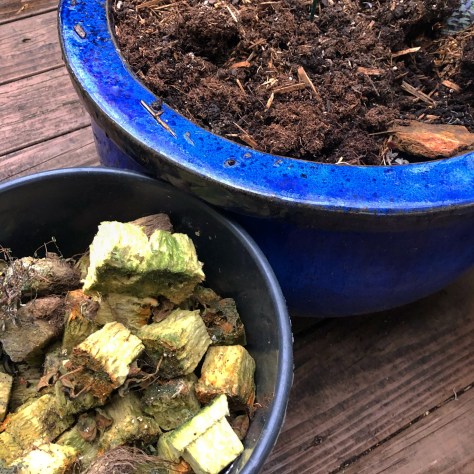 Spent Rockwool ready to go into soil planters