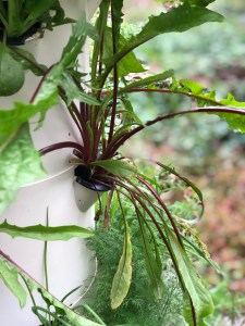 50EA4702-CE8A-4946-9403-AA43AEDE233E