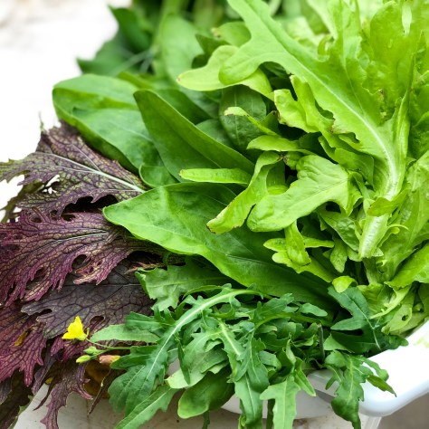 57F8FCEF-729C-41EE-ADDD-5B849AA87D60