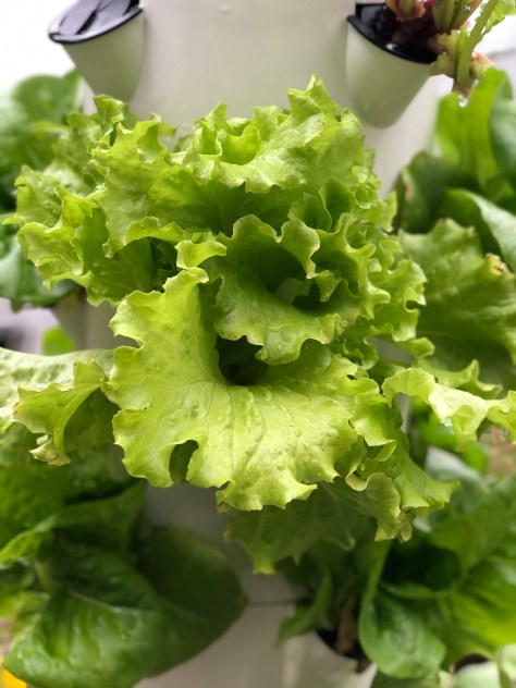 E76473CE-4DFE-4599-A761-8B7EB8076F22