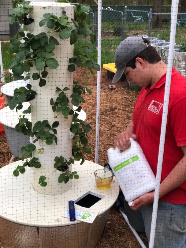 Adding nutrients to reservoir of Tower Garden Hydroponic System