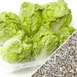 Lettuce-Little-Gem-SN