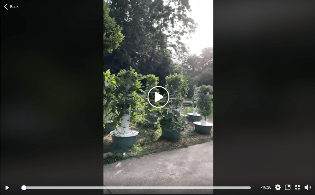 June 1, 2020 Tour of Hydroponic Garden
