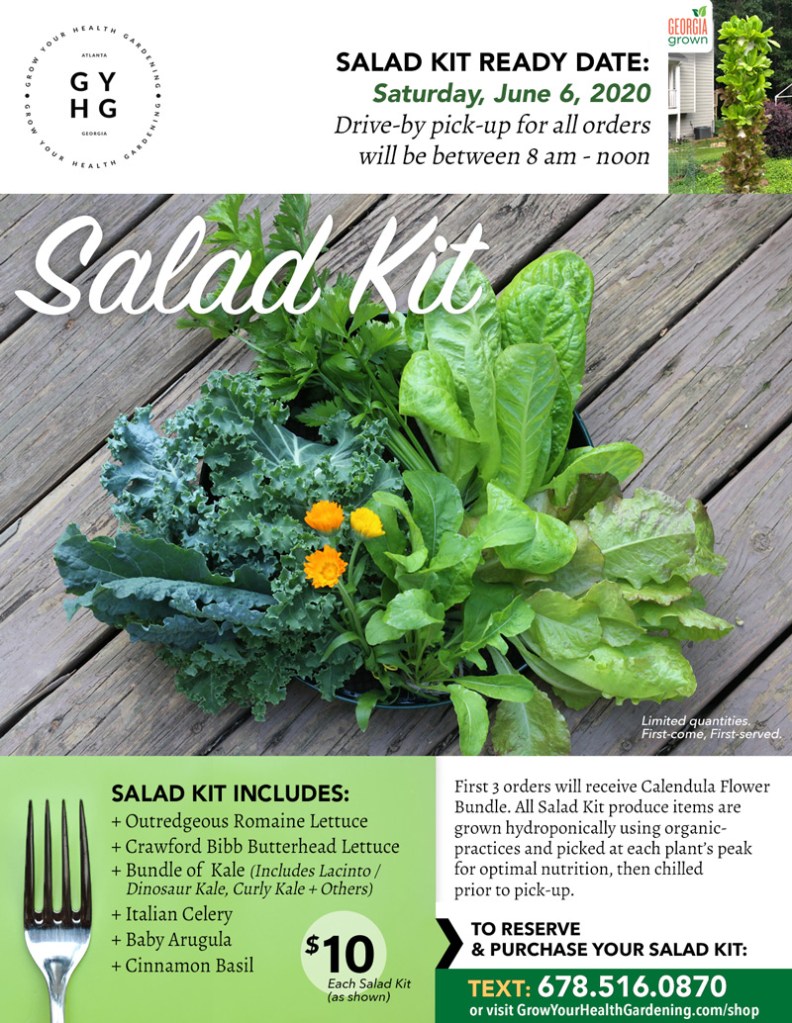 Grow Your Health Salad Kit 6-6-20