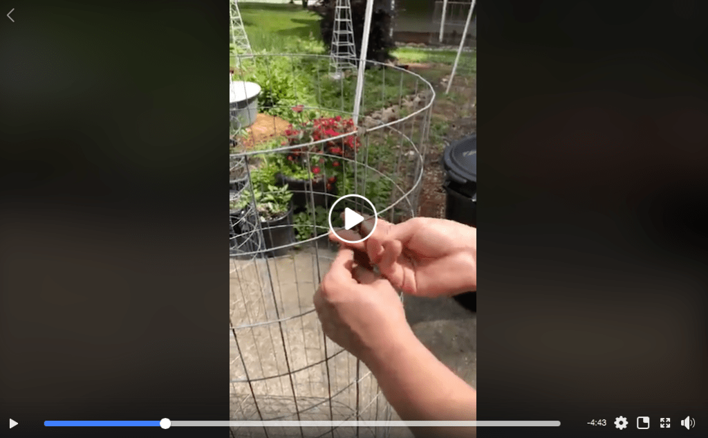 How to Build a Sturdy Tall The Best Tomato Cage