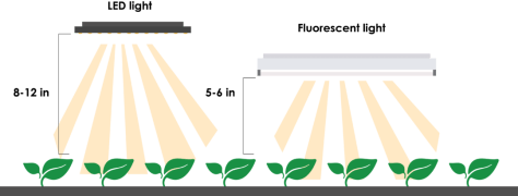LED-vs-Fluorescent1-bigger-1080x410