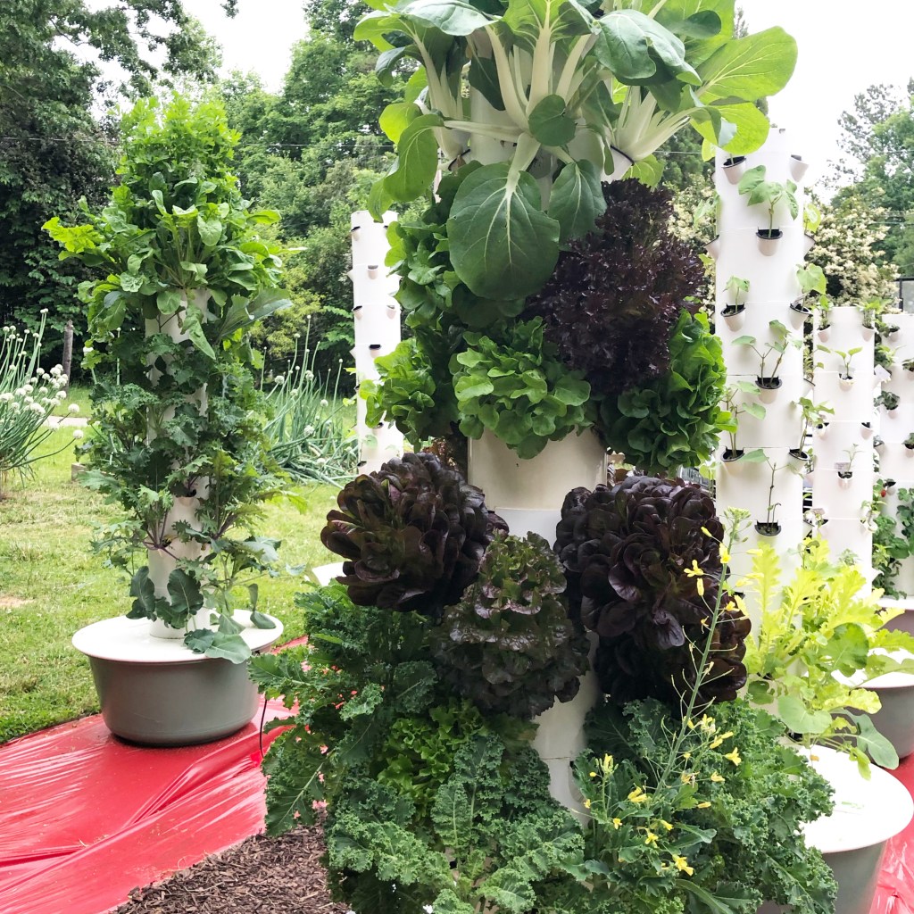 Bok Choy and greens growing on hydroponic and aeroponic Tower Garden.