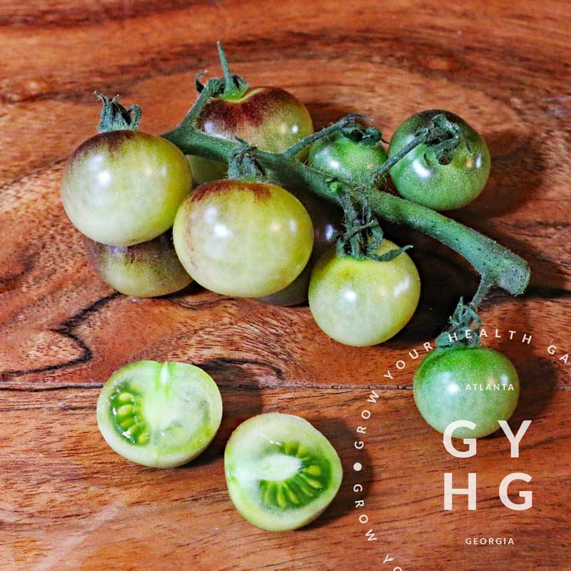 Blue Cream Berries Cherry Tomato hydroponic adapted grown with organic methods seed for sale