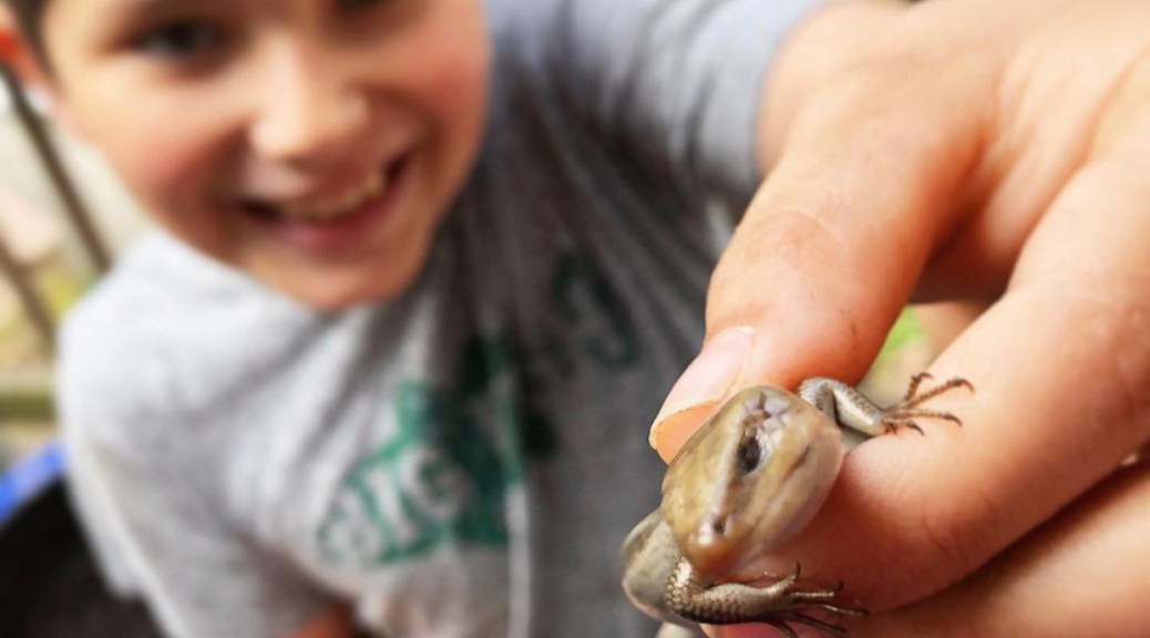 Explore Gardening With Kids