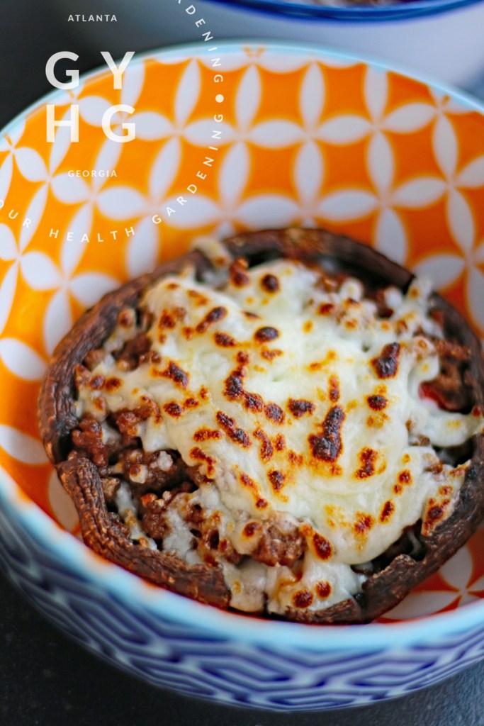 Mexican Portabello Mushroom Bowl