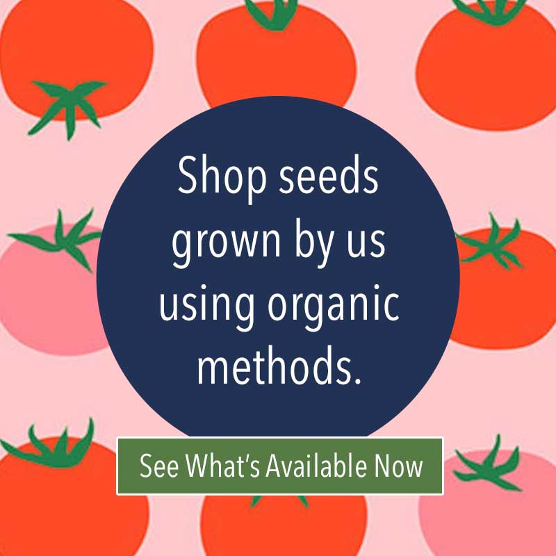 Shop seed grown by us GYHG Seed Co using organic methods.