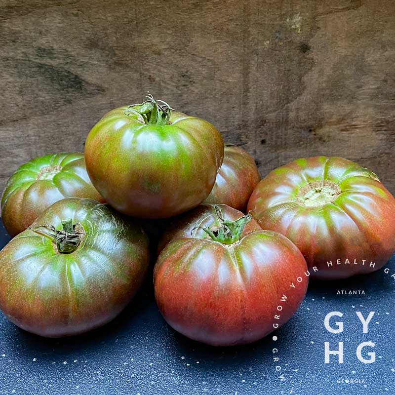 Cherokee Purple Heirloom Tomato Seed for Sale Hydroponic Adapted
