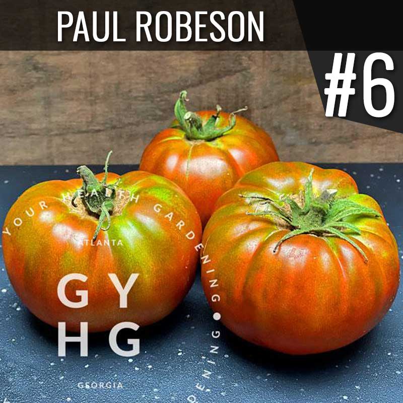 Grow Your Health Gardening Seed Company Paul Robeson Heirloom Tomato: Number 6 most productive variety from 2021