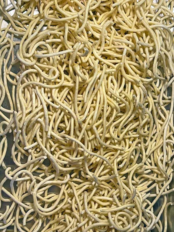Freeze Dried Cooked Spaghetti