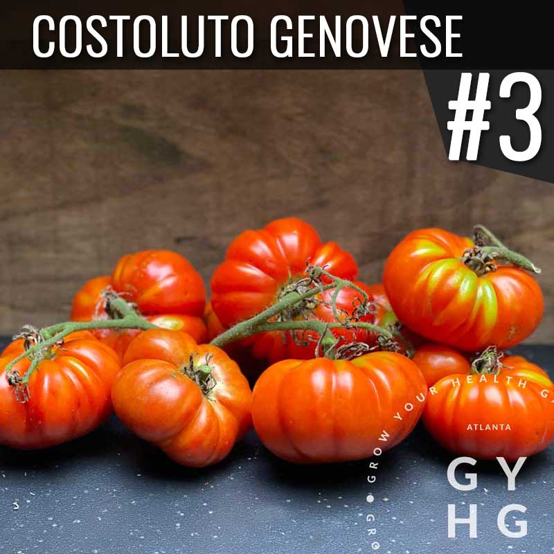 Grow Your Health Gardening Seed Company Costoluto Genovese Italian Heirloom Tomato: Number 3 most productive variety from 2021