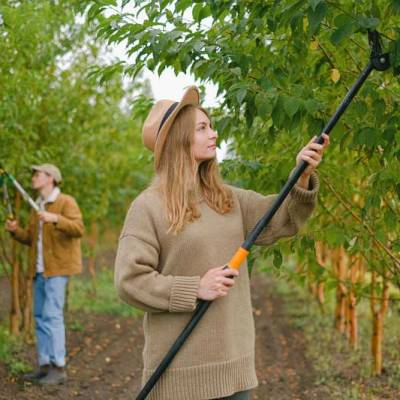 Condensed Pruning Guide